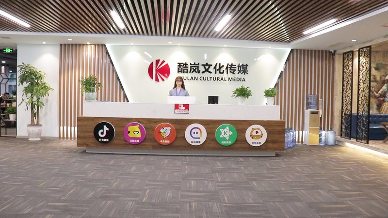 北京文化传媒公司收购报价，揭秘行业定价之道**