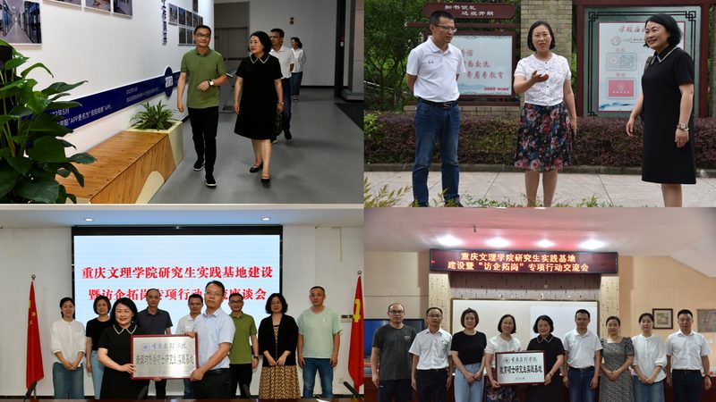 品牌策划与营销策划：本质区别与紧密联系
