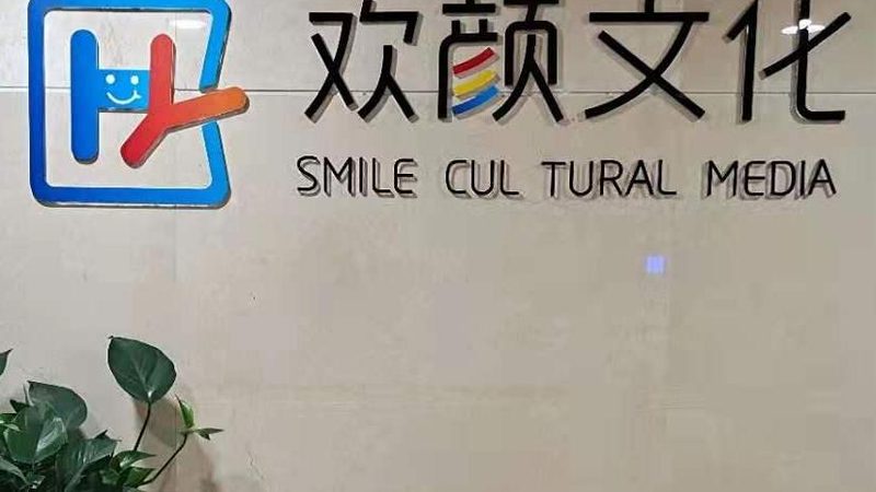 新媒体运营：公司实力与个人能力的差异化分析